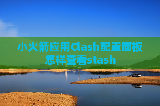 小火箭应用Clash配置面板怎样查看stash