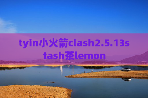 tyin小火箭clash2.5.13stash茶lemon