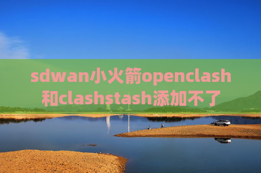 sdwan小火箭openclash和clashstash添加不了