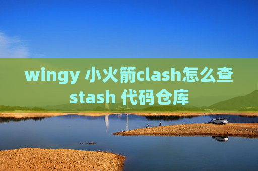 wingy 小火箭clash怎么查stash 代码仓库