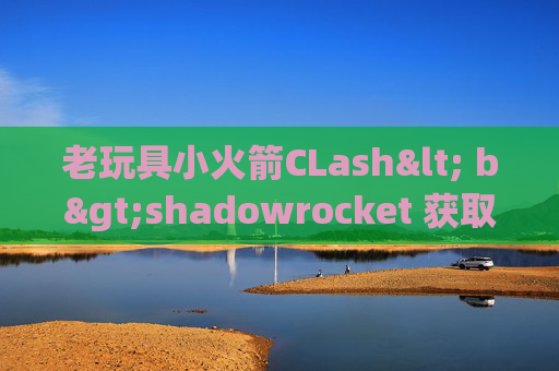 老玩具小火箭CLash< b>shadowrocket 获取按钮