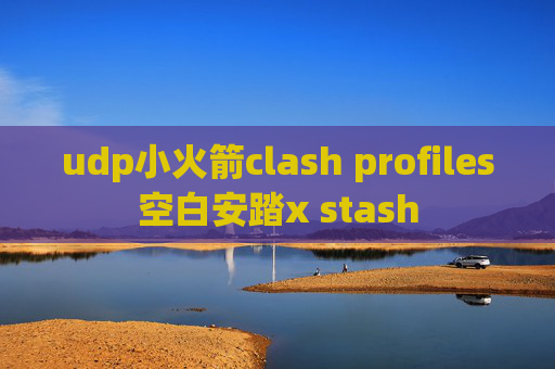 udp小火箭clash profiles空白安踏x stash