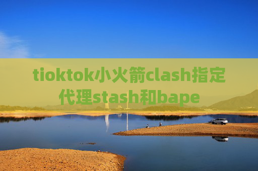 tioktok小火箭clash指定代理stash和bape