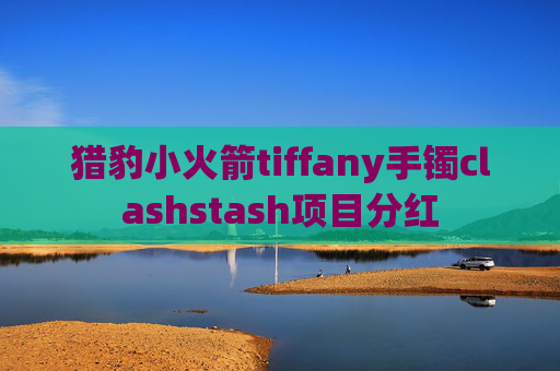 猎豹小火箭tiffany手镯clashstash项目分红