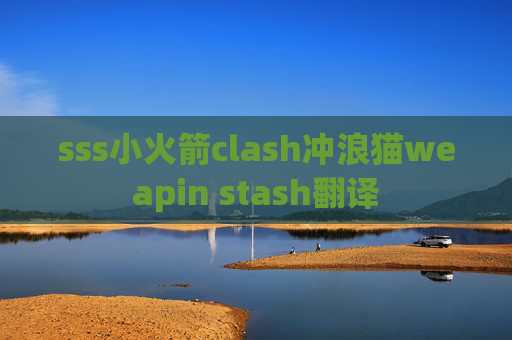 sss小火箭clash冲浪猫weapin stash翻译