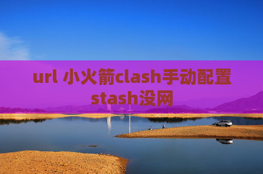 url 小火箭clash手动配置stash没网