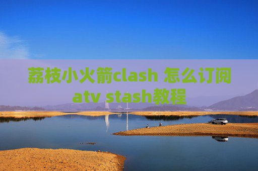 荔枝小火箭clash 怎么订阅atv stash教程