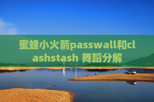 蜜蜂小火箭passwall和clashstash 舞蹈分解