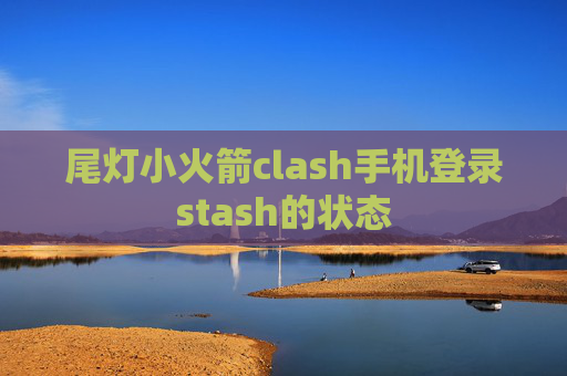 尾灯小火箭clash手机登录stash的状态