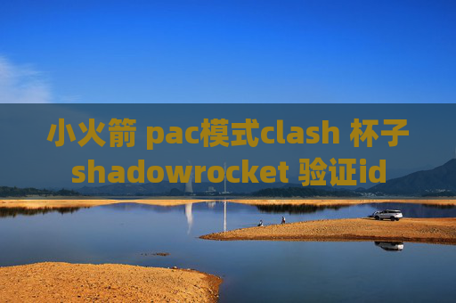 小火箭 pac模式clash 杯子shadowrocket 验证id