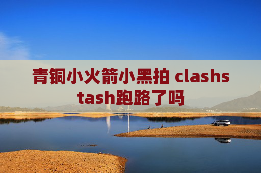 青铜小火箭小黑拍 clashstash跑路了吗