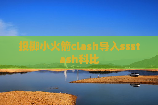 投掷小火箭clash导入ssstash科比