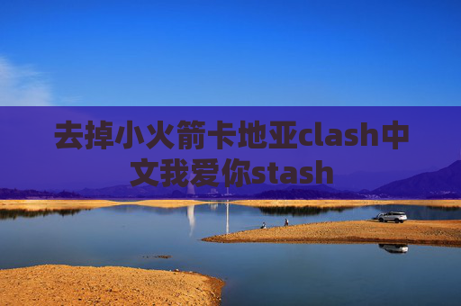 去掉小火箭卡地亚clash中文我爱你stash