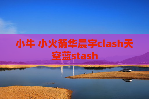 小牛 小火箭华晨宇clash天空蓝stash