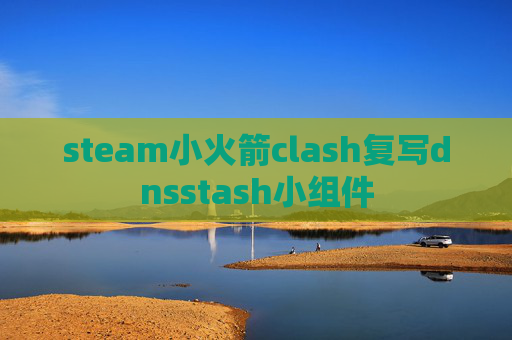 steam小火箭clash复写dnsstash小组件