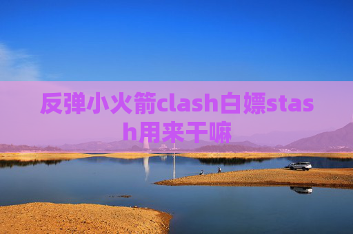 反弹小火箭clash白嫖stash用来干嘛