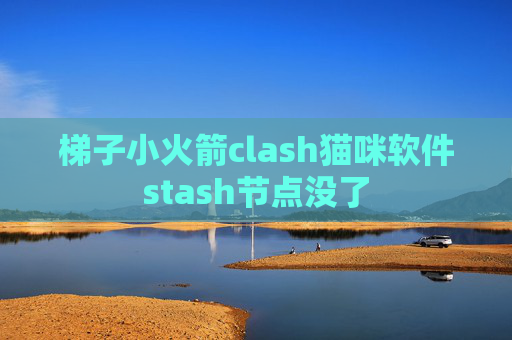 梯子小火箭clash猫咪软件stash节点没了