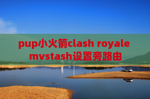 pup小火箭clash royale mvstash设置旁路由