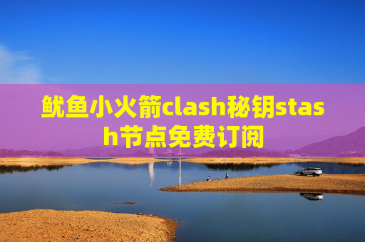 鱿鱼小火箭clash秘钥stash节点免费订阅