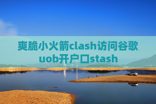 爽脆小火箭clash访问谷歌uob开户口stash