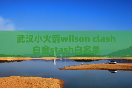 武汉小火箭wilson clash白金stash白名单