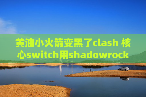 黄油小火箭变黑了clash 核心switch用shadowrocket