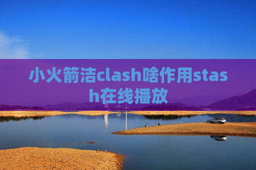 小火箭洁clash啥作用stash在线播放