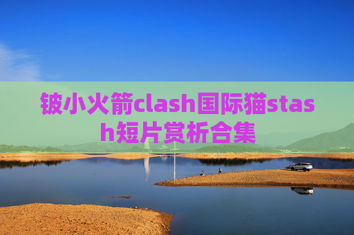 铍小火箭clash国际猫stash短片赏析合集