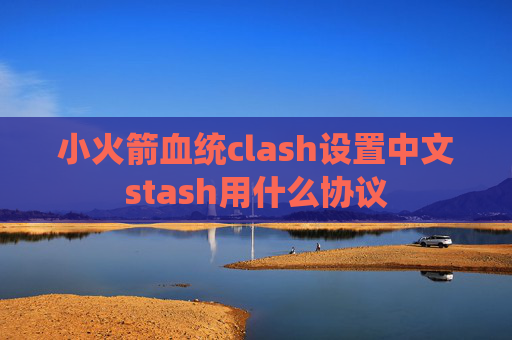 小火箭血统clash设置中文stash用什么协议