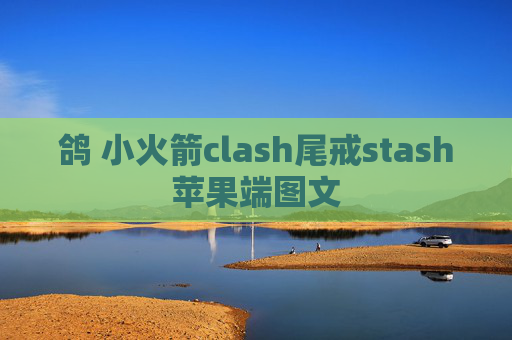 鸽 小火箭clash尾戒stash苹果端图文