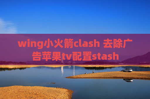 wing小火箭clash 去除广告苹果tv配置stash