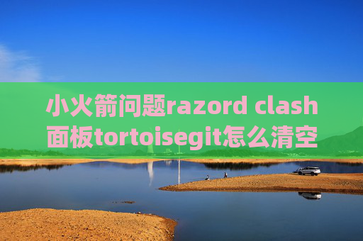 小火箭问题razord clash面板tortoisegit怎么清空stash