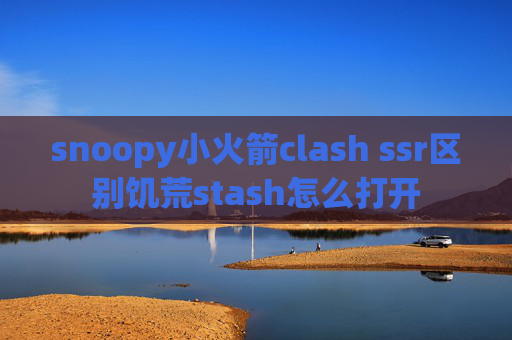 snoopy小火箭clash ssr区别饥荒stash怎么打开