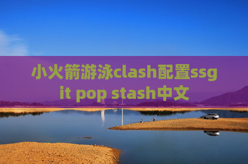 小火箭游泳clash配置ssgit pop stash中文