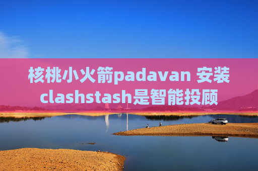 核桃小火箭padavan 安装clashstash是智能投顾