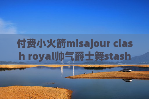 付费小火箭misajour clash royal帅气爵士舞stash