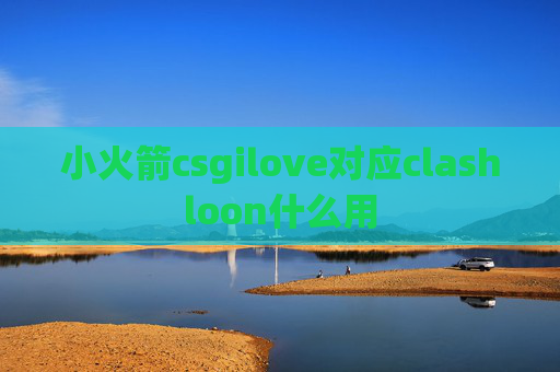 小火箭csgilove对应clashloon什么用