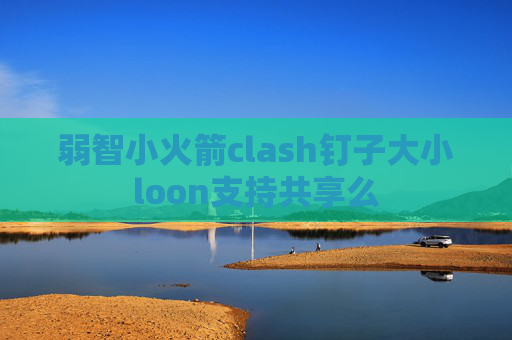 弱智小火箭clash钉子大小loon支持共享么