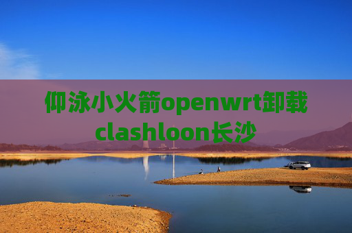 仰泳小火箭openwrt卸载clashloon长沙