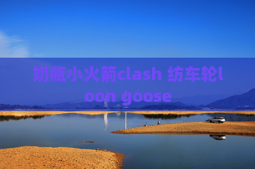 奶瓶小火箭clash 纺车轮loon goose