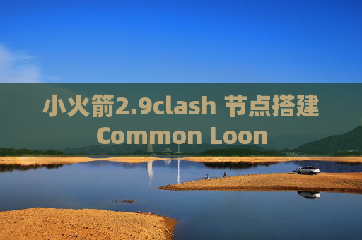 小火箭2.9clash 节点搭建Common Loon