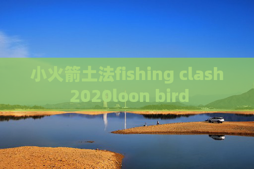 小火箭土法fishing clash 2020loon bird