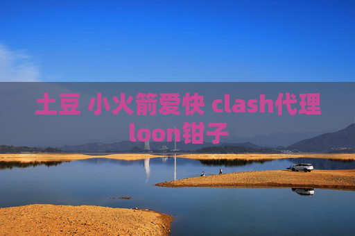 土豆 小火箭爱快 clash代理loon钳子