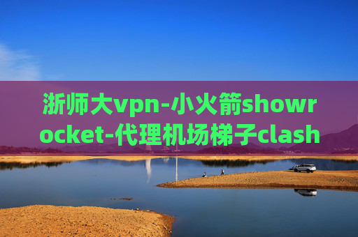 浙师大vpn-小火箭showrocket-代理机场梯子clash