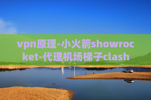 vpn原理-小火箭showrocket-代理机场梯子clash