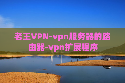 老王VPN-vpn服务器的路由器-vpn扩展程序