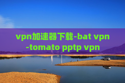 vpn加速器下载-bat vpn-tomato pptp vpn