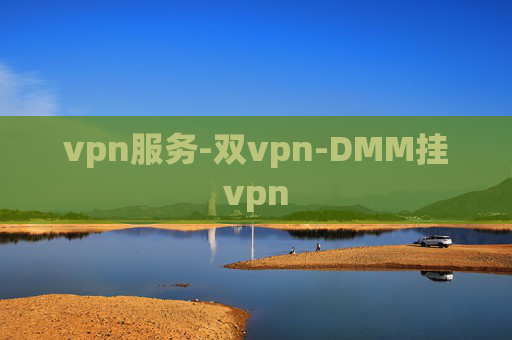 vpn服务-双vpn-DMM挂vpn