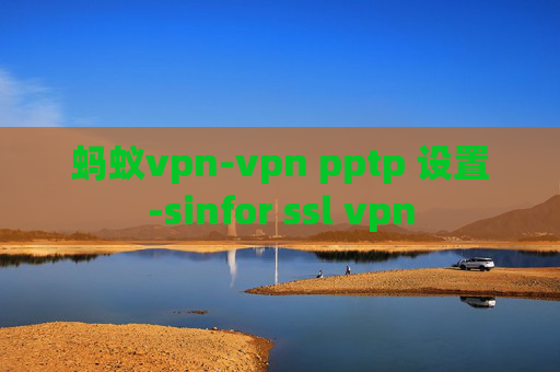 蚂蚁vpn-vpn pptp 设置-sinfor ssl vpn