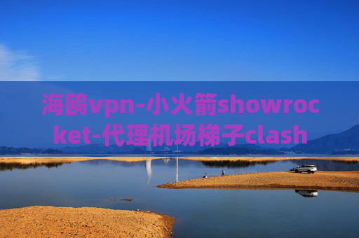 海鸥vpn-小火箭showrocket-代理机场梯子clash